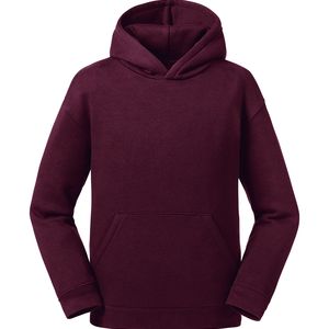 Kids Authentic Hooded Sweat