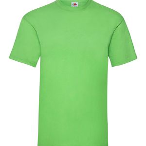 Valueweight Tee, miniatyr 24