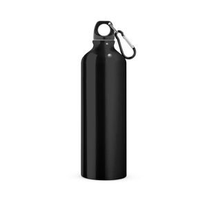 LANDSCAPE L. Sportflaska i aluminium med karbinhake 800 mL, miniatyr 2