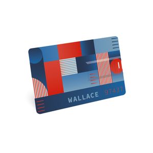WALLACE 8GB. USB -minne med 8GB i ABS, miniatyr 3