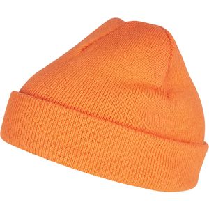Heavyweight Beanie, miniatyr 16
