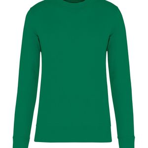 Eco-Friendly Crew Neck Sweatshirt, miniatyr 19
