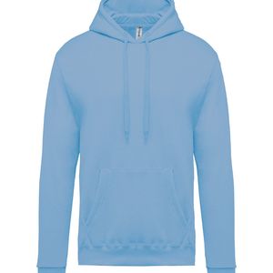 Men's Hooded Sweatshirt, miniatyr 18