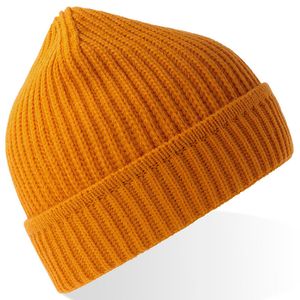 MAPLE, miniatyr 7
