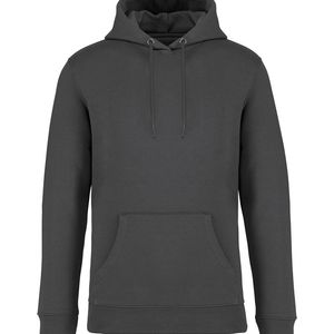 Unisex hooded sweatshirt 350 gsm, miniatyr 9