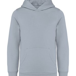 Kids hooded sweatshirt 350gsm, miniatyr 1