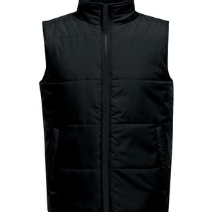 Access Insulated Bodywarmer, miniatyr 1