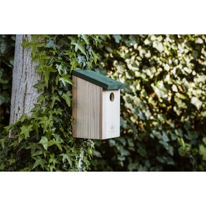 Birdhouse, miniatyr 5