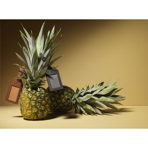 Vegan Pineapple Leather Luggage Tag, miniatyr 5