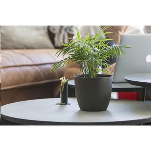 Coffee Flowerpot, miniatyr 4
