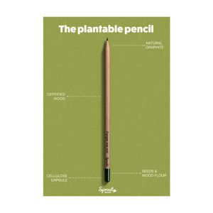 Sproutworld Unsharpened Pencil