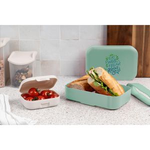 Amuse Classic Lunchbox Medium, miniatyr 3