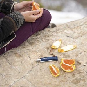 Opinel Colorama No 08 pocket knife in a belt pouch, miniatyr 5