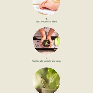 Sproutworld Set: Sharpened Pencil & Header Card, miniatyr 5